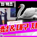 백조댄스스포츠