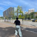 블루힐도서관 이미지