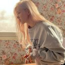 이즈로제 이미지