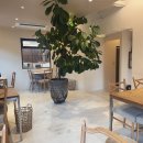 메종드마레 이미지