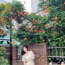 대봉1동 행정복지센터 이미지