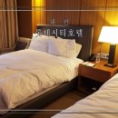 (주)호텔롯데 롯데시티호텔대전 | 대전 가성비호텔 롯데시티호텔 대전 숙박후기(Ft.성심당뷰)