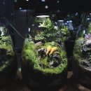 마장1리 이미지