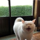 세신샵 결 이미지