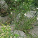 동화천자전거길 이미지