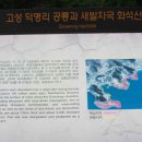 숲길 전경 이미지