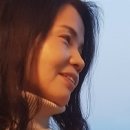 메시스 이미지