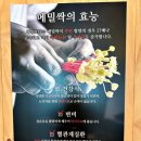 본밀면 이미지