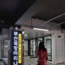 셀럽다이브