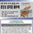 [6주 과정-하지,몸통,상지] 왕초보 움직임 해부학 2015.10.31(토) 오후2시 개강[교육장소:강남 협회 사무실] 이미지