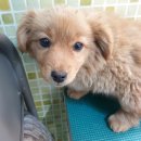 아산만로 이미지