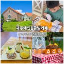 책 속 소품 만들기 | 서귀포카페 제주 체험 가능한 제주에인감귤밭카페 한라봉청 만들기 후기