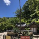 송광주류