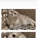 오후의 기상 이미지