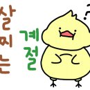 청마루식당 이미지