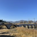 벌교동물병원 이미지