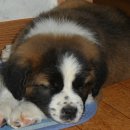 미녀&야수 이미지