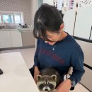 (주)비투티 | ENUF 이너프 크로스핏 긴팔 티셔츠 신상 후기 + 사이즈 팁