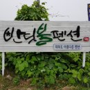싸인디자인