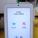 노랑204