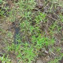 백령초등학교 이미지