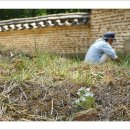 김주신선생묘 | 김주신과 김홍집 선생 묘역