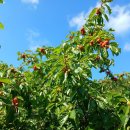 토지나라공인중개사사무소 이미지