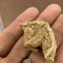 용우외가농장 이미지