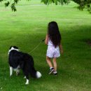 이수축산농장 이미지