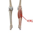 팰리스피트니스 이미지