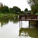 장자호수공원 이미지