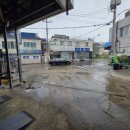 보리카매니아