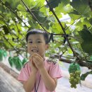 이레목장 1 이미지