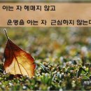 명리로2번길 Daum카페