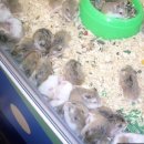 반도기계 이미지