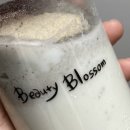 Blossom Beauty(블라썸뷰티)
