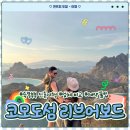 대성3거리 교통섬 | 코모도 섬 3박 4일 리브어보드 업체 비교 &amp; 가격 총정리와 여행 후기