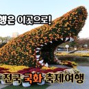 2024.10.11월은 이곳으로 여행을!~ 전국 가을 국화 축제 10곳 이미지