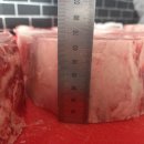 쎄븐푸드 성남대리점