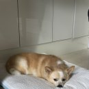 아산아랑여행 네이버블로그