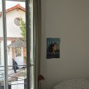 샹떼 코인 이미지