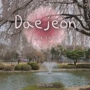연못들2 | 📍대전 유성구 | 카이스트 오리연못, 대전벚꽃스팟, 벚꽃명소, 목련, 수양벚꽃, 포토스팟 총정리!