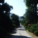 진산파출소 이미지