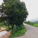 속리산민박 이미지