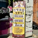멍탑방 | 울산 동구 남목 애견호텔 멍탑방 찐 후기! 애견유치원 픽업 가능