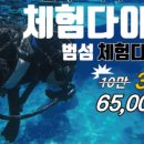 노틸러스다이브제주