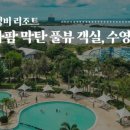 레아네팜 네이버블로그