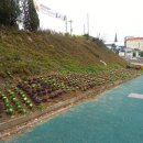 온양2동 중앙로 이미지