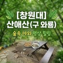 와룡칼국수 | 창원대 맛집,힐링 스팟 산애산(구 와룡),야외 평상에서 즐기는 파전과 칼국수