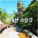 행복한만물상 | [오대산] 알레버스 소금강 등산코스 후기, 진고개~노인봉~구룡폭포 계곡 산행